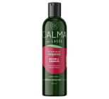 Shampoo C/Alma Vegano Raiz Oleosa e Ponta Seca 300ml