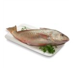 Peixe Corvina Inteira Cia do Peixe 2kg