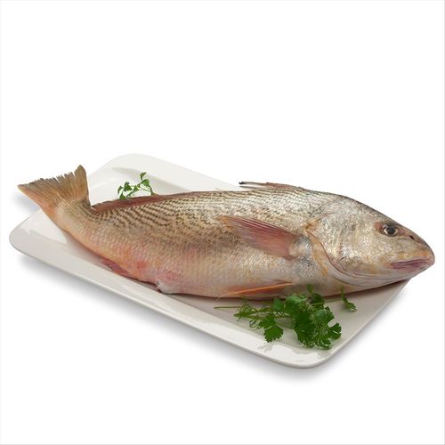 Peixe Corvina Inteira Cia do Peixe 2kg