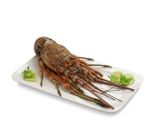 Lagosta Fresca 800g
