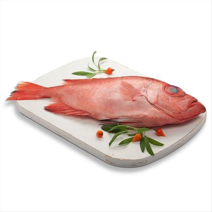 Peixe Vermelho Olho de Cão Inteiro Companhia Do Peixe 1kg