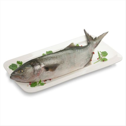 Peixe Anchova Inteiro Cia Do Peixe 2kg