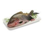 Peixe Tambaqui Inteiro Fresco 2kg