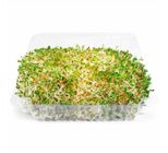 Broto De Alfafa Sprout'S 150g