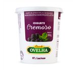 Iogurte De Ovelha Sem Lactose Casa Da Ovelha Amora 500g