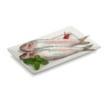 Peixe Sardinha Inteira Cia do Peixe 1kg