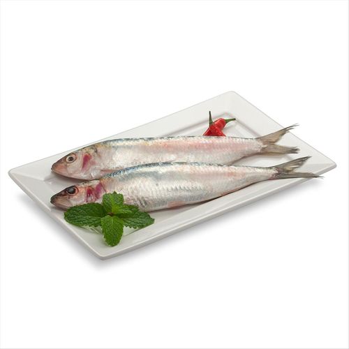 Peixe Sardinha Inteira Cia do Peixe 1kg