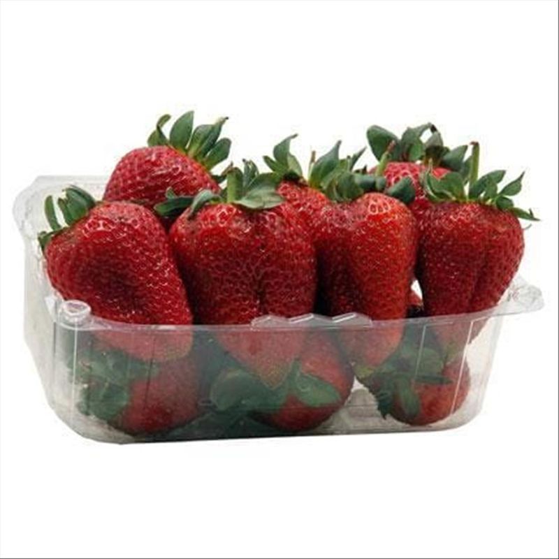 VF4qT-qqCUAAAAAAAAF9DQ