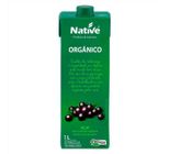 Suco Pronto Orgânico Native Açaí Tetra Pak 1 L