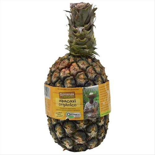 Abacaxi Orgânico Unidade