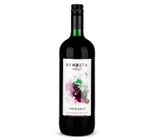 Vinho Tinto Brasileiro Bendita Garrafa 1 L