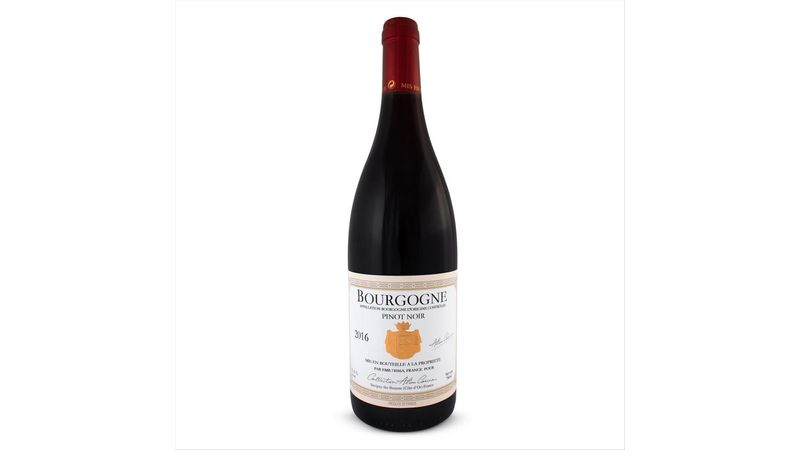 Vinho Tinto Francês Bourgogne Pinot Noir Garrafa 750ml - Zona Sul