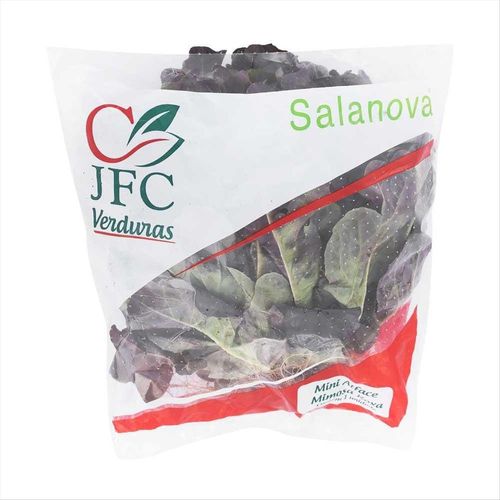 Mini Alface Mimosa Roxa Jfc Unidade