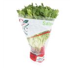 Mini Alface Crispe Frisée Verde Jfc Unidade