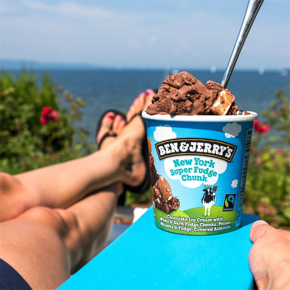 Jerry's Nuggets 8個 Sorvete Ben E Jerry'S New York Super Fudge Chunk Pote 458ml - Zona Sul