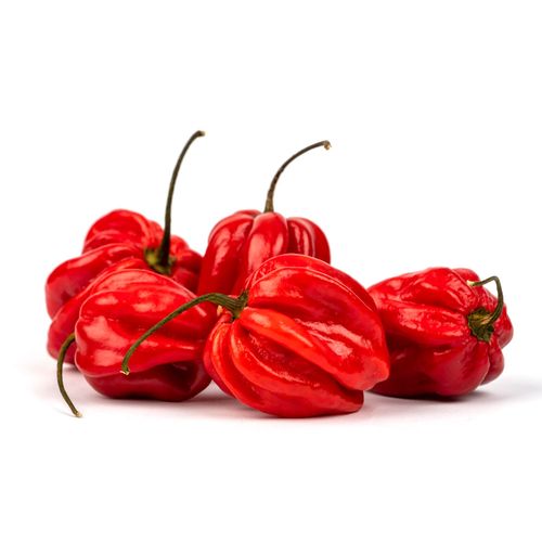 Pimenta Habanero 150g