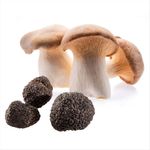 Triangoloni-Italiano-Bertagni-Com-Recheio-De-Cogumelos-E-Trufas-250