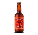 Cerveja Brewpoint Irish Red Ale 500ml