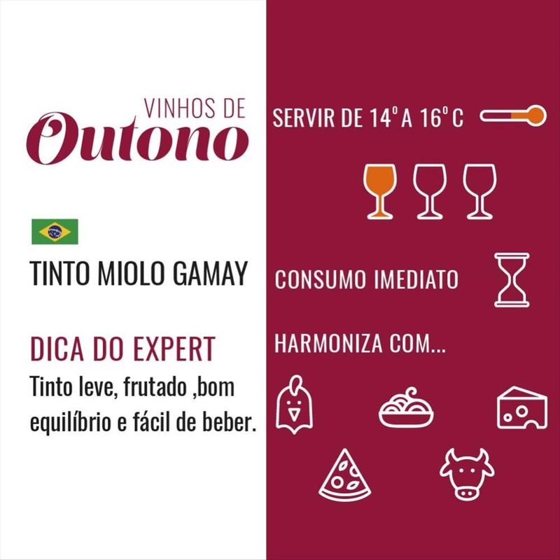 Vinho-Tinto-Brasileiro-Miolo-Gamay-Garrafa--750-mL