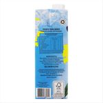 Cha-Mate-Frutas-Vermelhas-Friizi-Caixa-1l