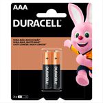 Pilha-Duracell-Palito-Aaa-Com-2-Unidades