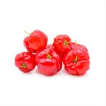 Acerola-500g