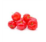 Acerola 500g