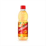 Suco-Concentrado-Maguary-Caju-Garrafa-500ml