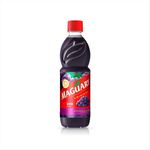 Suco-Concentrado-Maguary-Uva-Garrafa-500ml