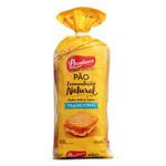 Pao-de-Forma-Tradicional-Bauducco-Pacote-400g