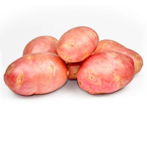 Batata Asterix 500g