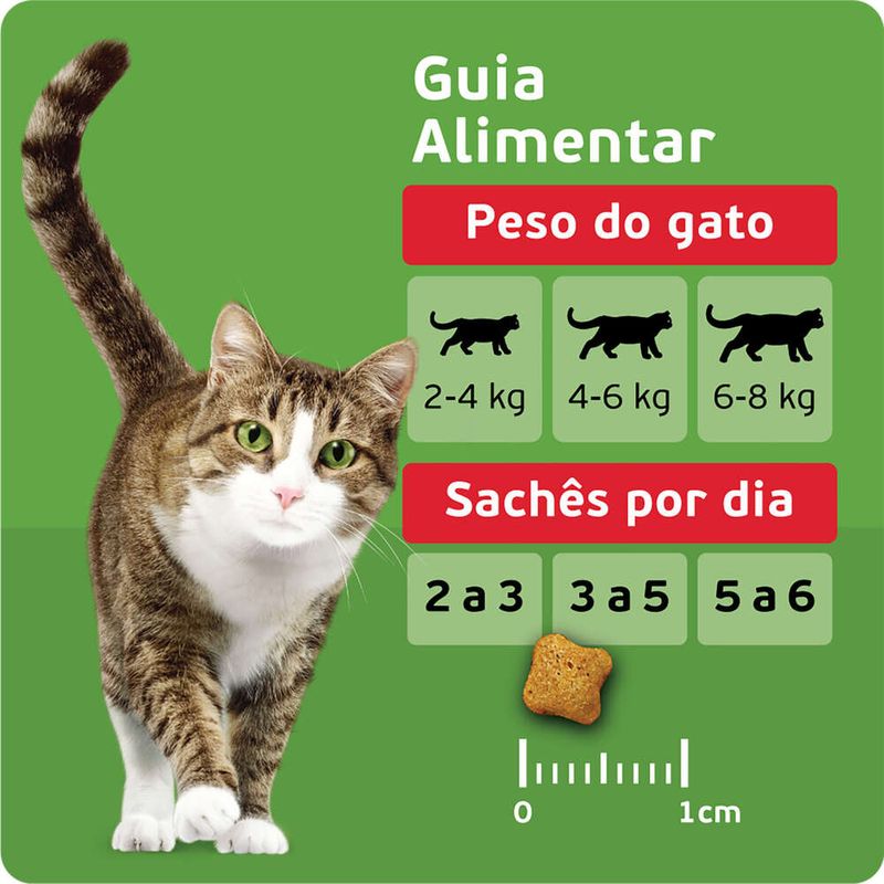 Alimento-para-Gatos-Adultos-Mix-de-Carnes-Kitekat-Pacote-900g