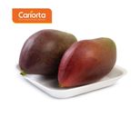 Manga Palmer Cariorta 1,2kg