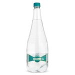 Água Mineral Caxambu com Gás 1,255ml