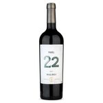 Vinho-Tinto-Argentino-Tonel-22-Malbec-750ml