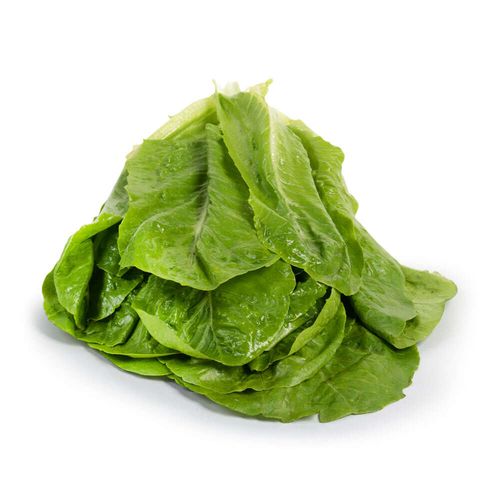 Alface Romana Unidade