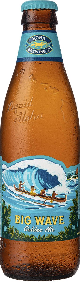 8906f99315758ec95c8b5711de8b26f1_cerveja-americana-kona-big-wave-golden-ale-long-neck-355ml_lett_1