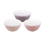 Conjunto 3 Bowls de Bambu e PP Lines Sortido Lyor