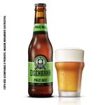 Cerveja-Eisenbahn-Pale-Ale-Puro-Malte-Long-Neck-355ml