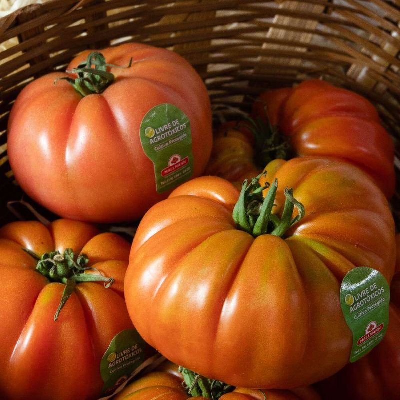 Tomate-Mediterraneo-200g