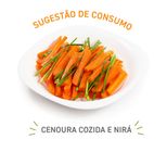 Cenoura Em Palitos Quasi Pronto 500g