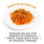 Cenoura-Ralada-Quasi-Pronto-300g