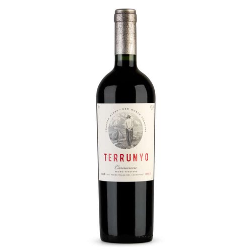Vinho Tinto Chileno Terrunyo Carménère Garrafa 750ml