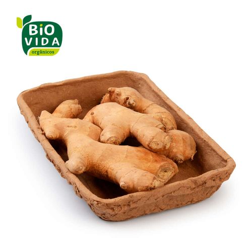 Gengibre Orgânico Bio Vida 300g