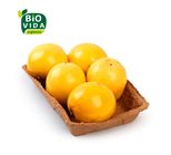 Maracujá Orgânico Bio Vida 600g