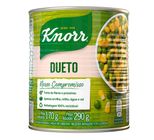 Conserva Knorr Dueto 170g