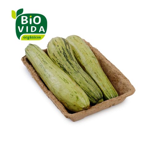 Abobrinha Italiana Orgânica Bio Vida 600g