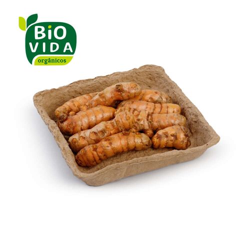 Açafrão Da Terra Orgânico Bio Vida Bandeja 150g