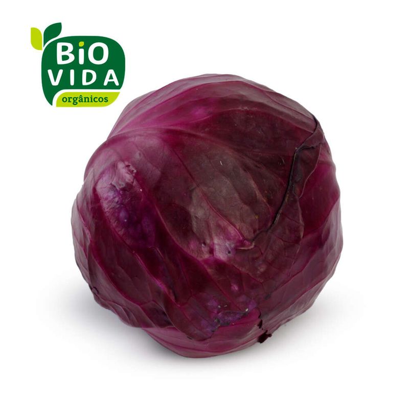 Repolho-Roxo-Organico-Bio-Vida-300g