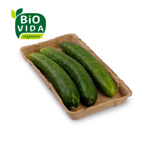 Pepino Japonês Orgânico Bio Vida 400g